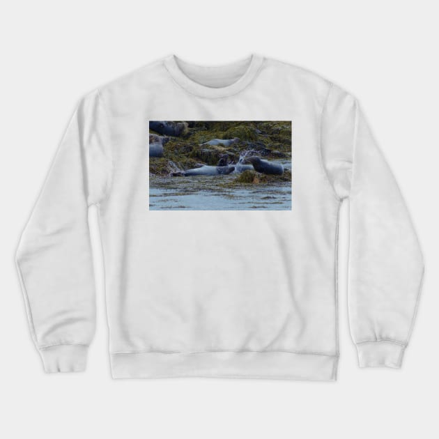 KELP KOMBAT! Crewneck Sweatshirt by dumbodancer